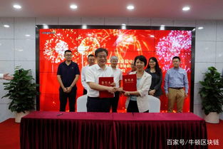 董孝魁携手深圳数字创意发展中心 以区块链技术开辟数字文化创意软件新赛道